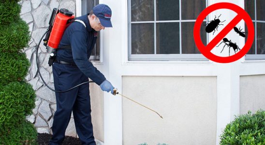 Tuşba Gümüşkurt İlaçlama böcek ilaçlama ve haşere kontrolü — ilaclama-tr.com